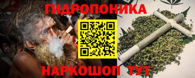 МДПВ Кингисепп