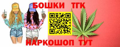МДПВ Кингисепп