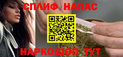 МДПВ Кингисепп