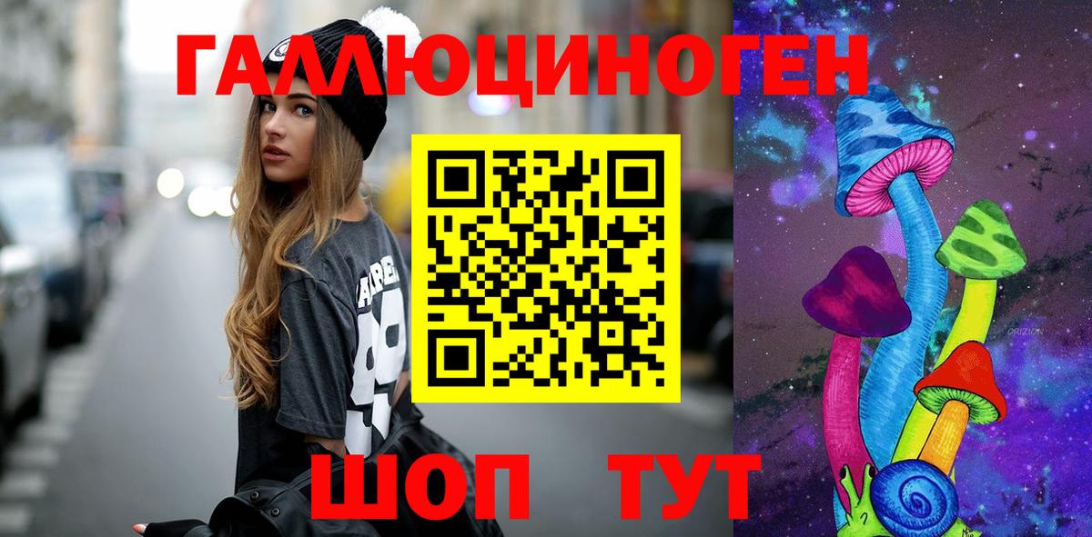 Галлюциногенные грибы Psilocybine cubensis Кизляр