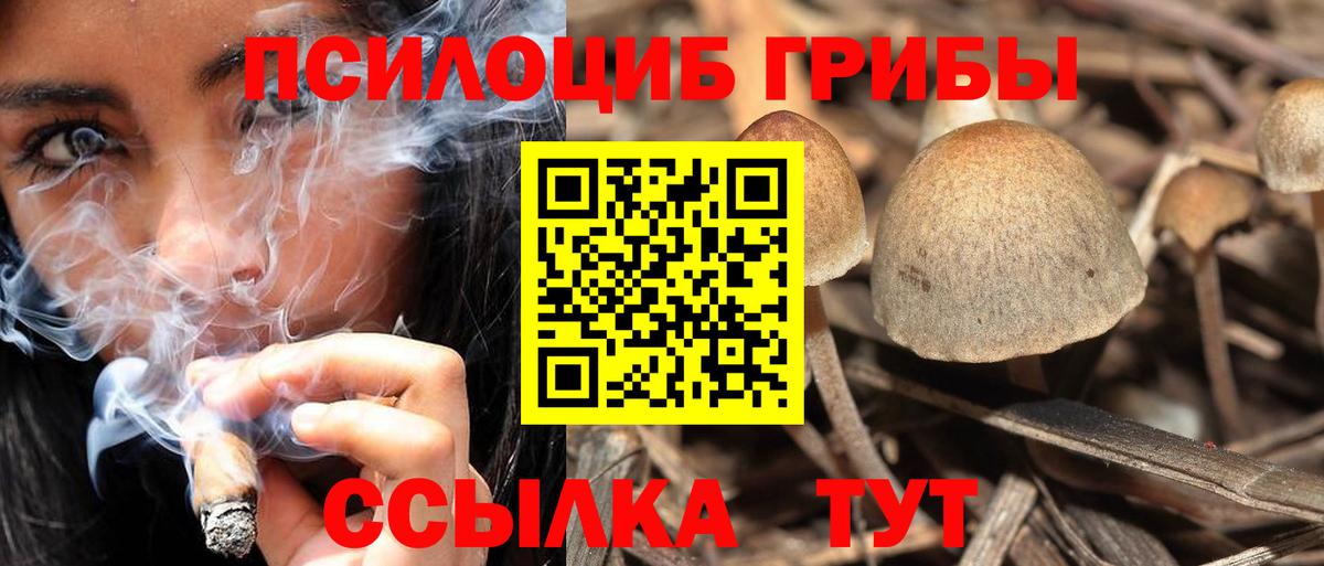 Кизляр  Галлюциногенные грибы мухоморы  Вход с VPN 